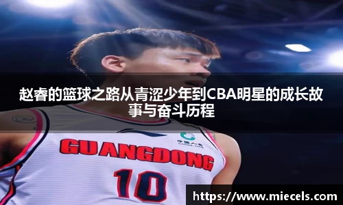赵睿的篮球之路从青涩少年到CBA明星的成长故事与奋斗历程